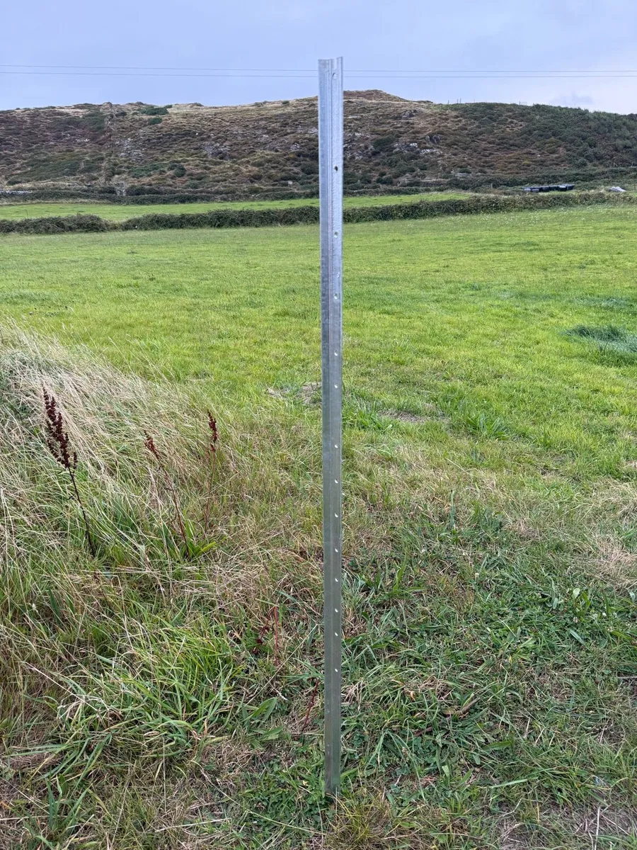 Galvanised Fence Posts - Image 2