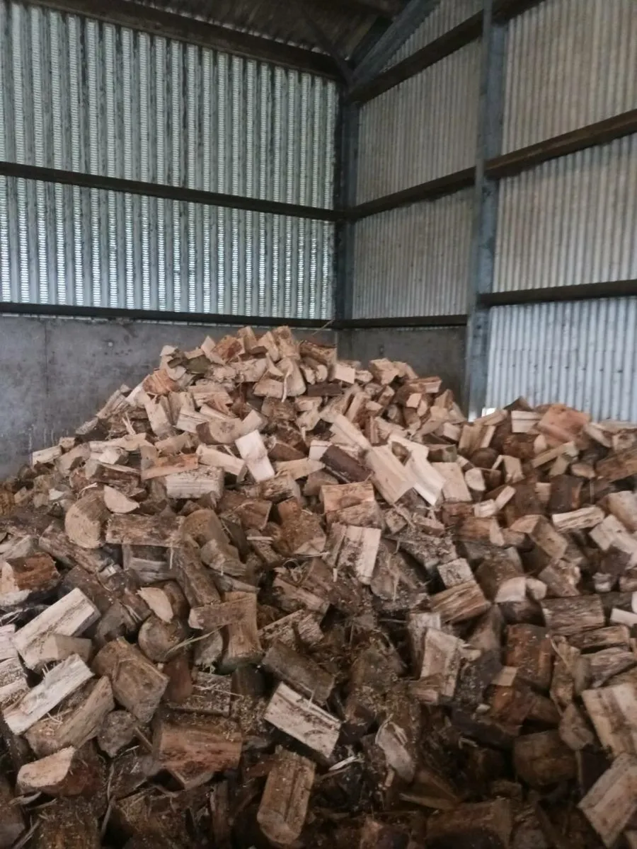 Firewood - Image 1