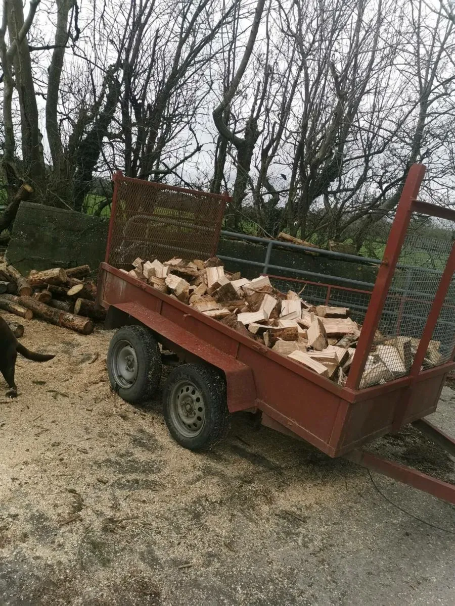 Firewood - Image 4