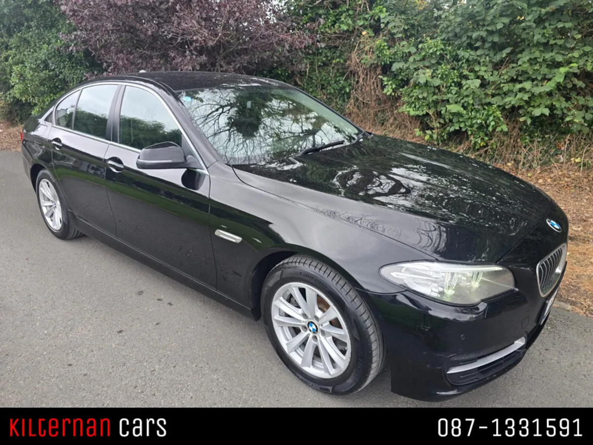 BMW 5-Series 2.0 Diesel SE Auto - Image 2