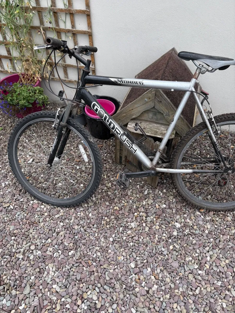 Bikes - Image 3