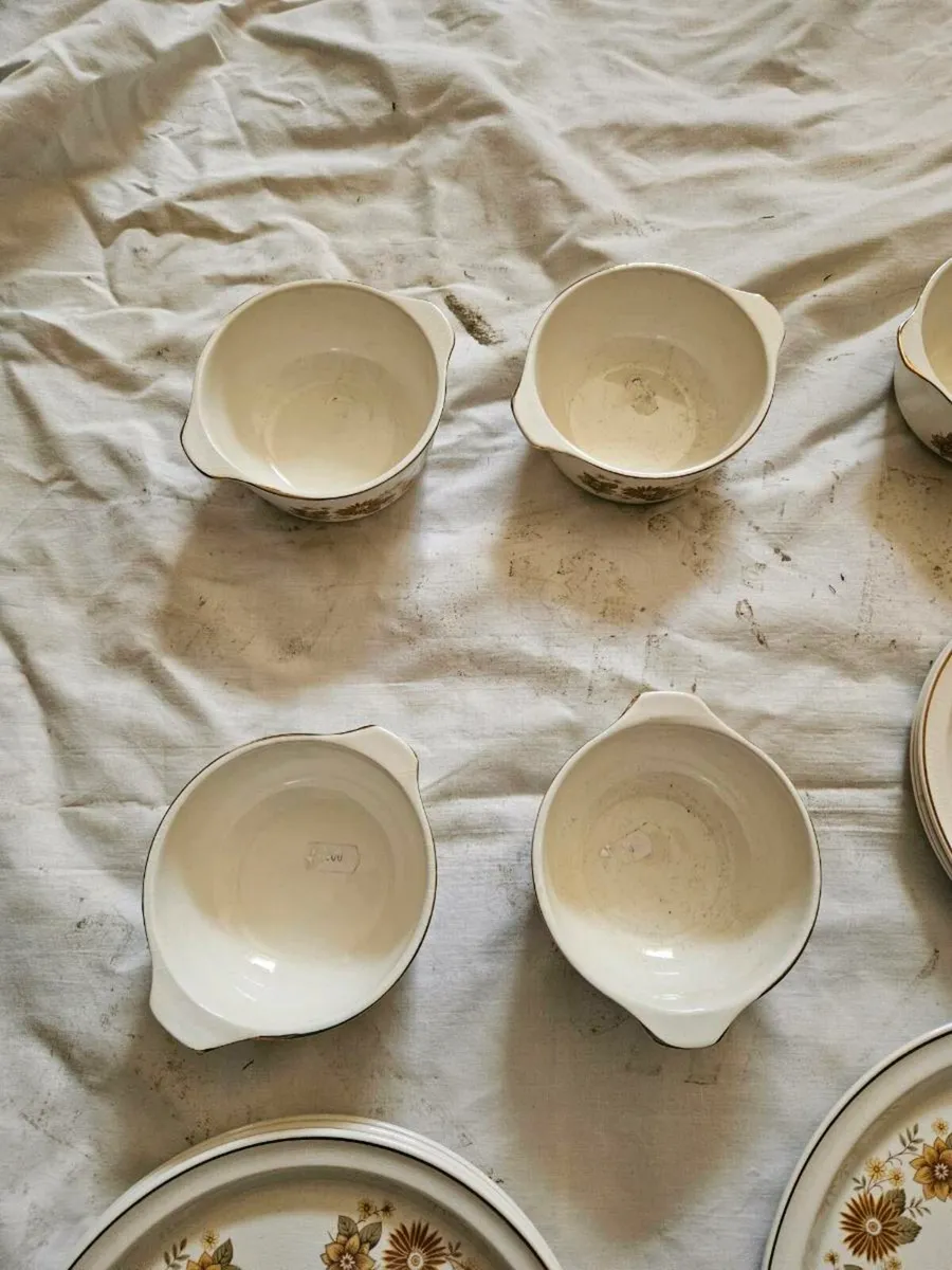 Vintage Arklow Pottery - Image 4