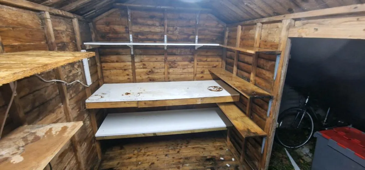 FREE Shed 2m x 3m - Image 4