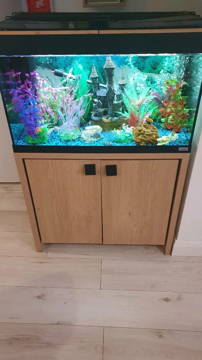 Fluval Aquarium - Image 3