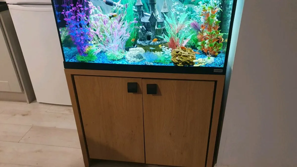 Fluval Aquarium - Image 4