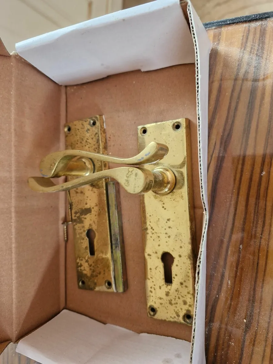 Brass Door Handles - Image 1
