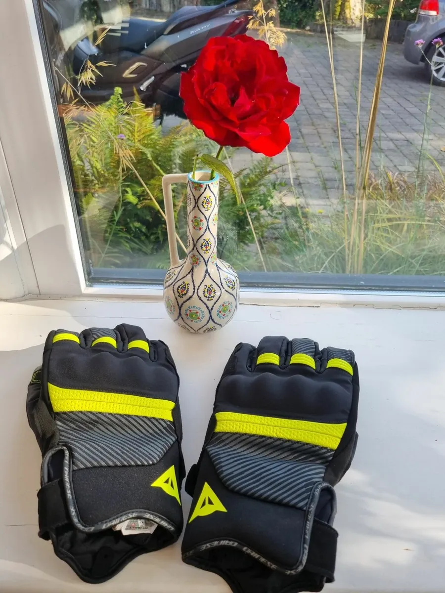 Dianese Fulmine D-Dry Gloves - Image 1