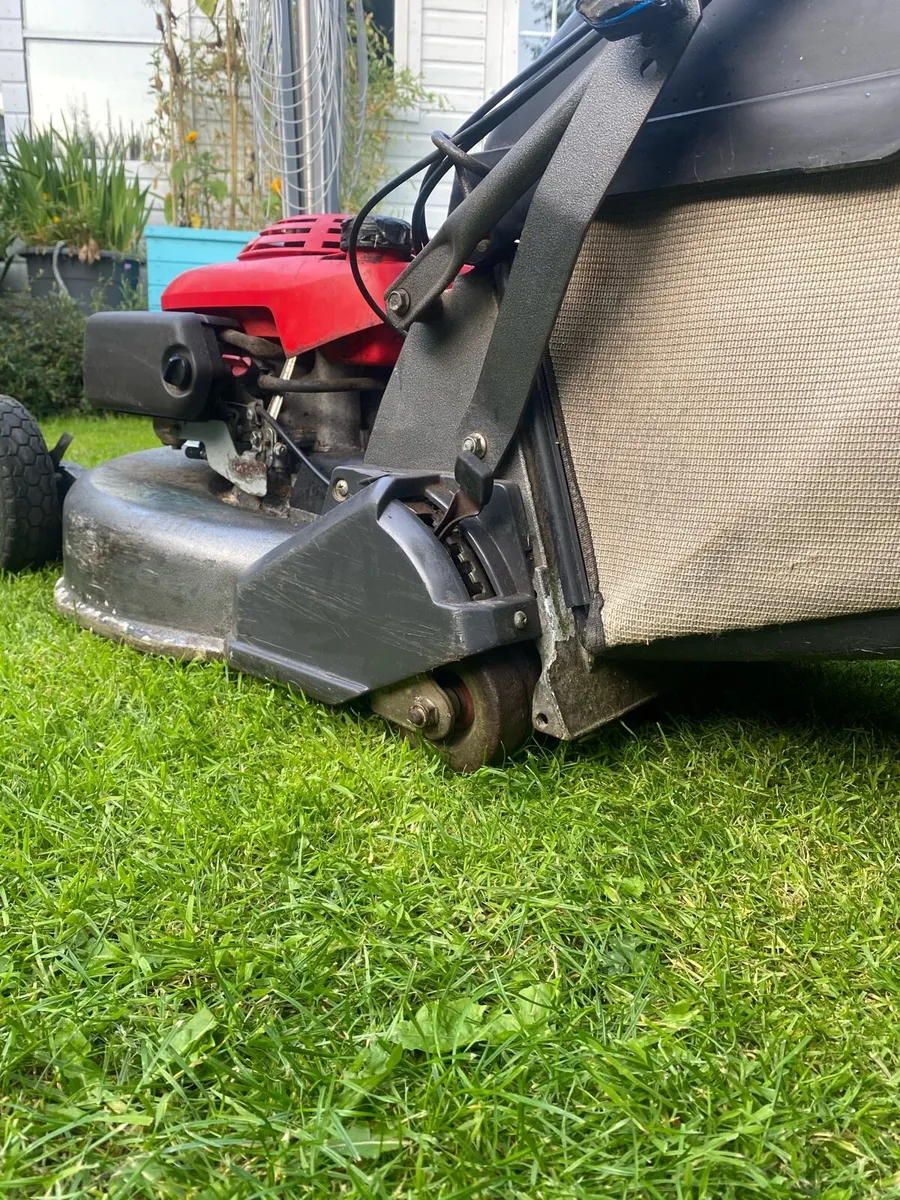 Honda Rear Roller Lawnmower - Image 3