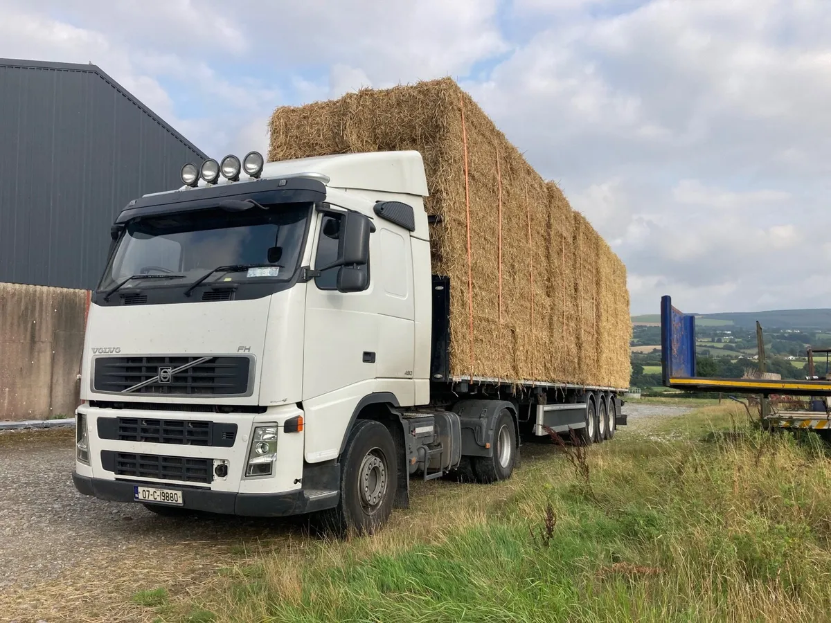 Big Square Bales of Wheaten Straw - Image 3