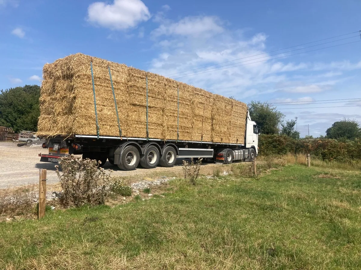 Big Square Bales of Wheaten Straw - Image 1