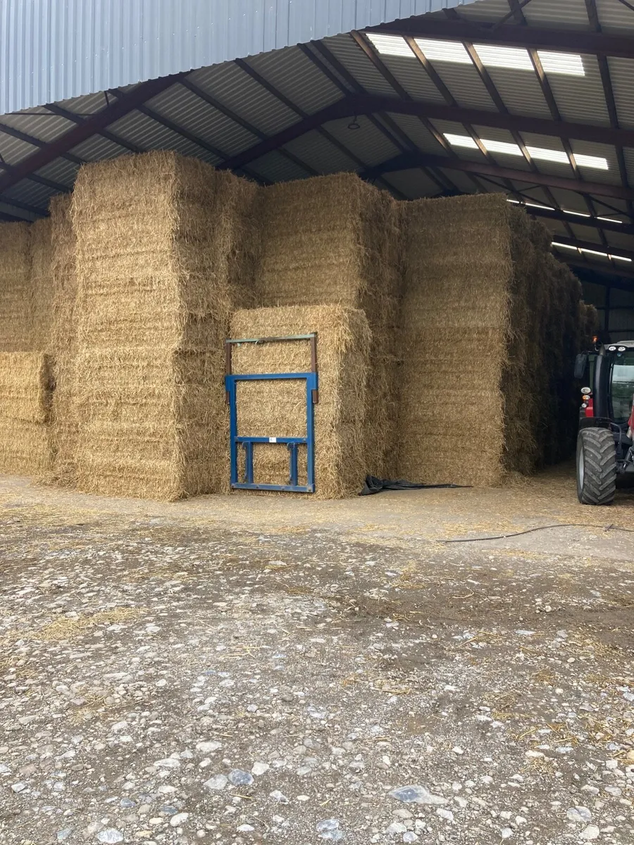 Big Square Bales of Wheaten Straw - Image 2