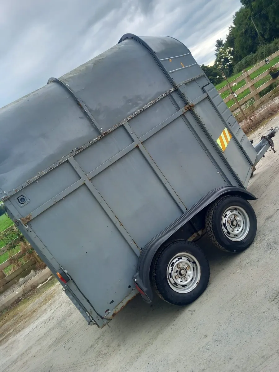 Horse box - Image 3