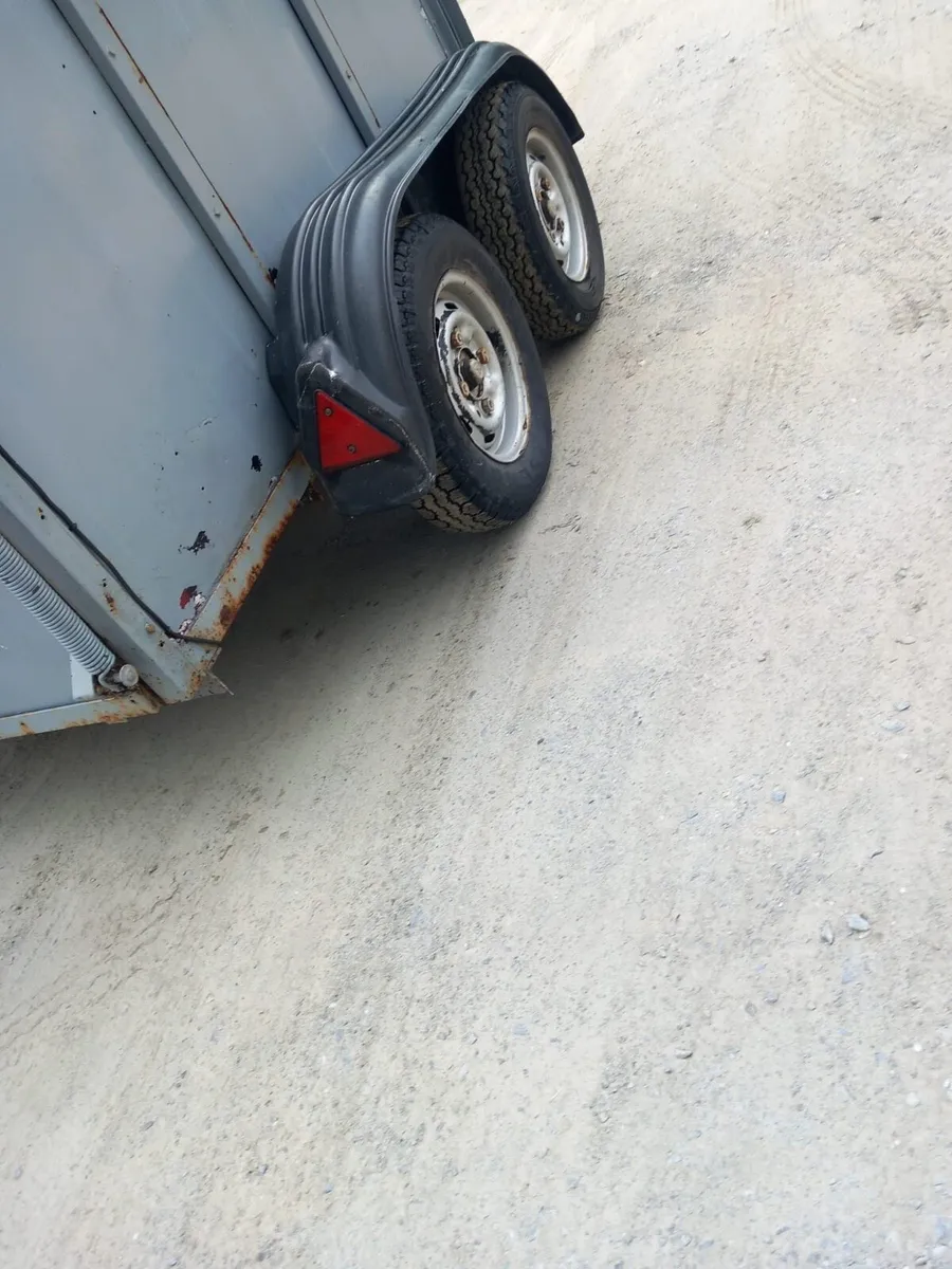 Horse box - Image 4