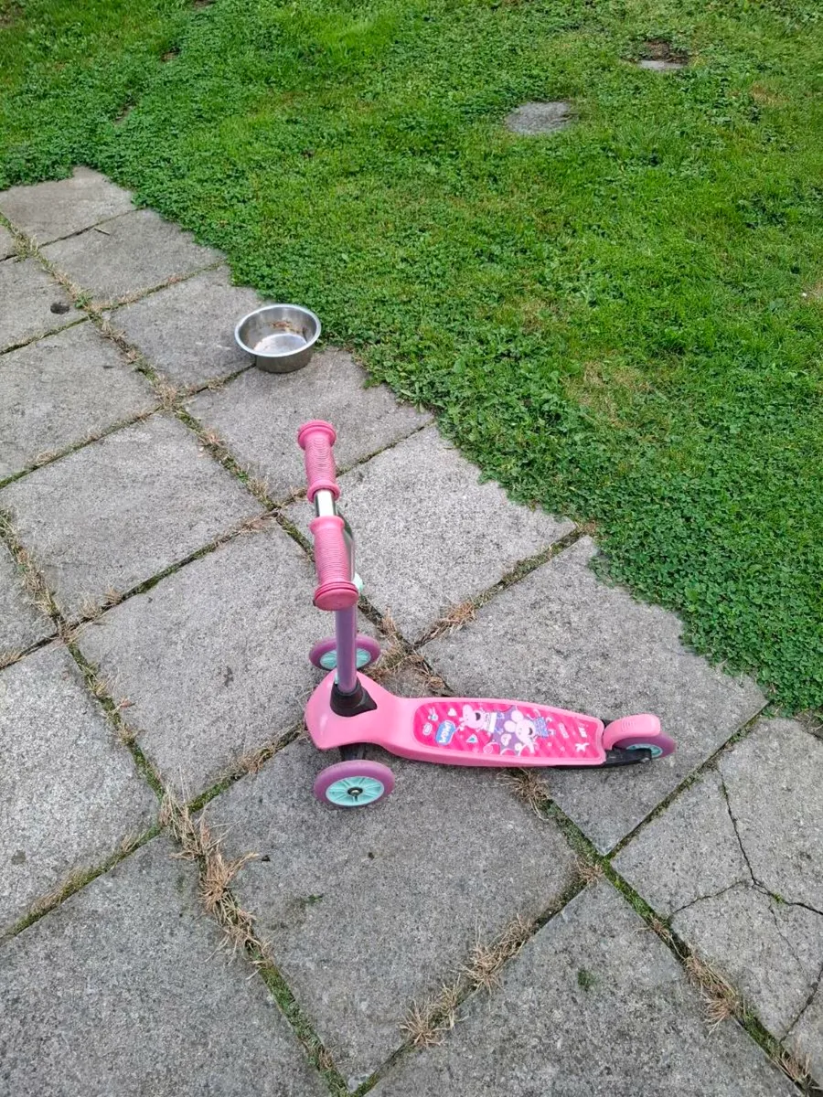Scooter - Image 1
