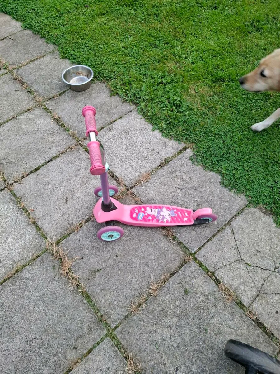 Scooter - Image 2