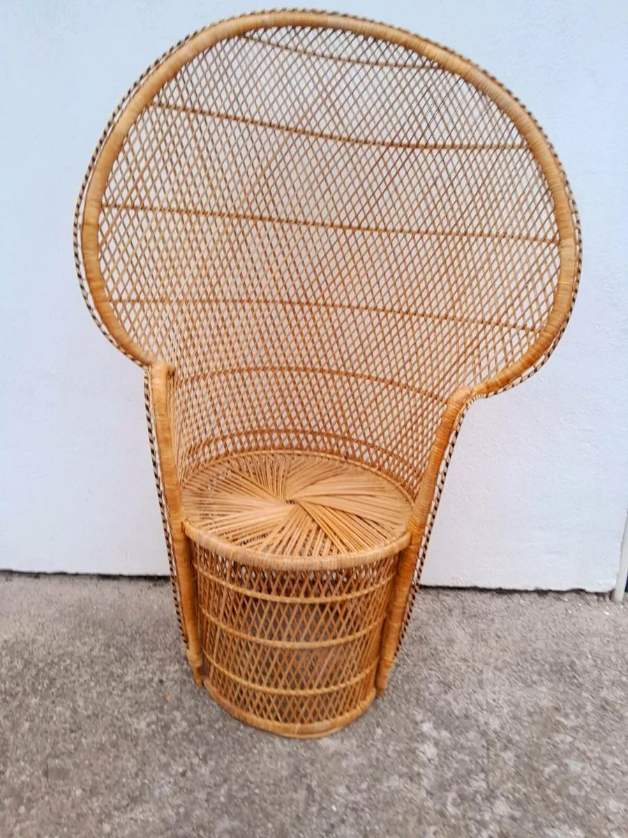 Peacock chair - Image 1
