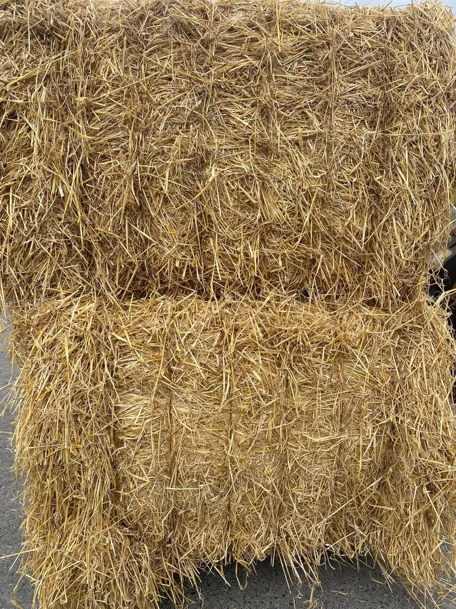 Straw Bales - Image 2