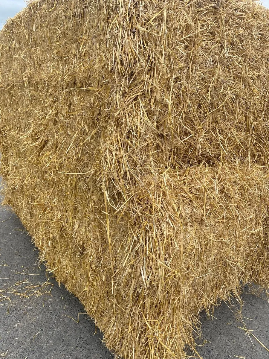 Straw Bales - Image 3