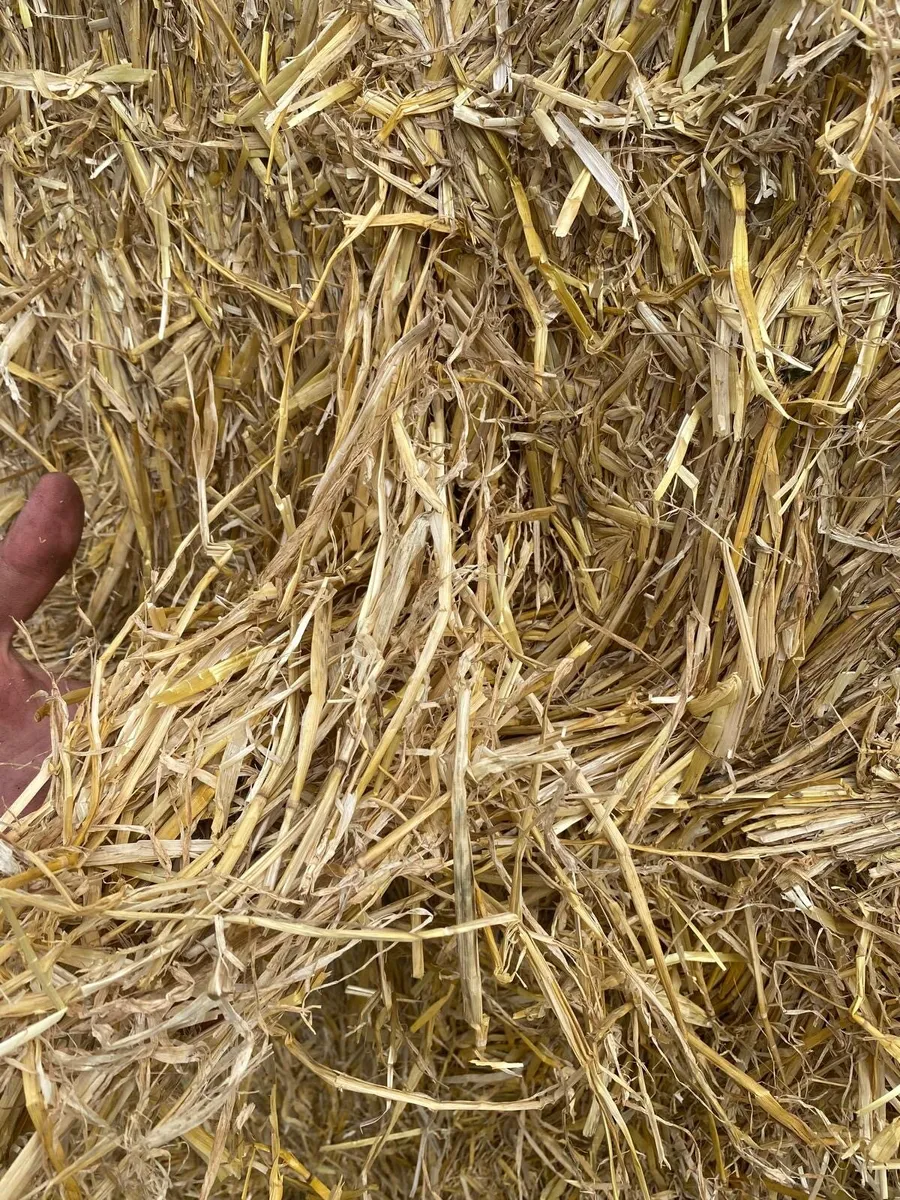 Straw Bales - Image 4