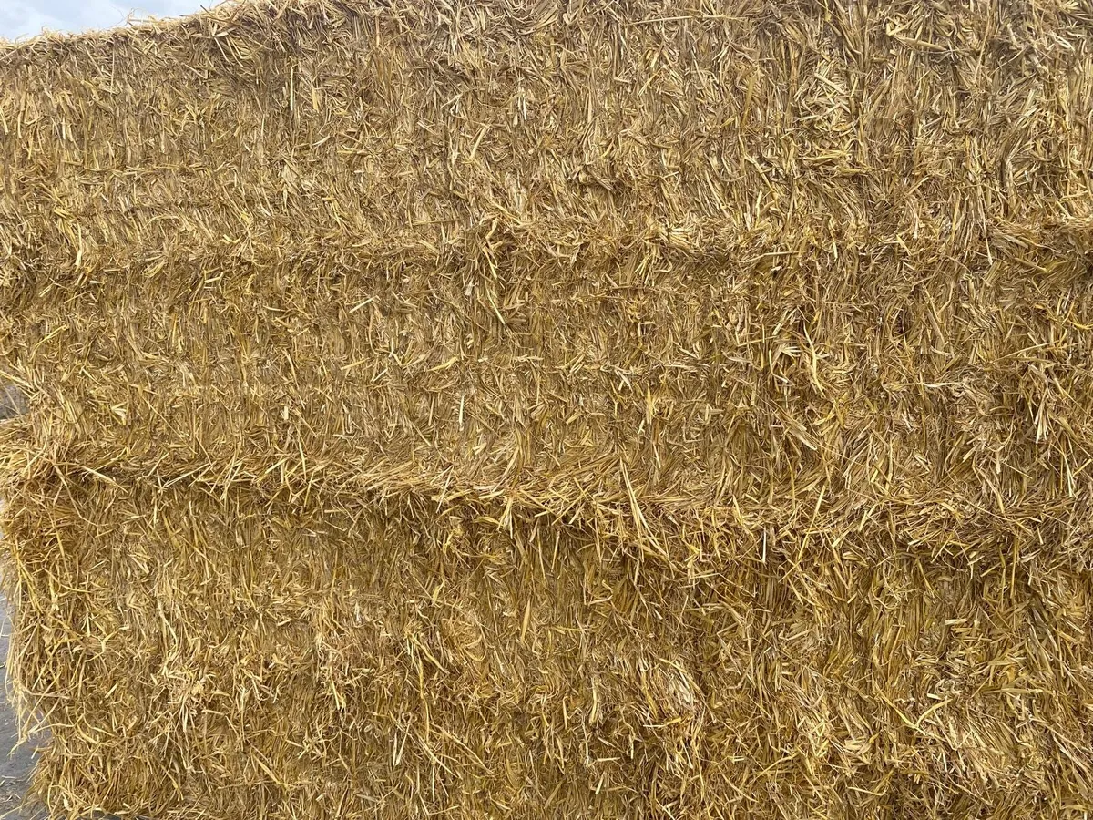 Straw Bales - Image 1