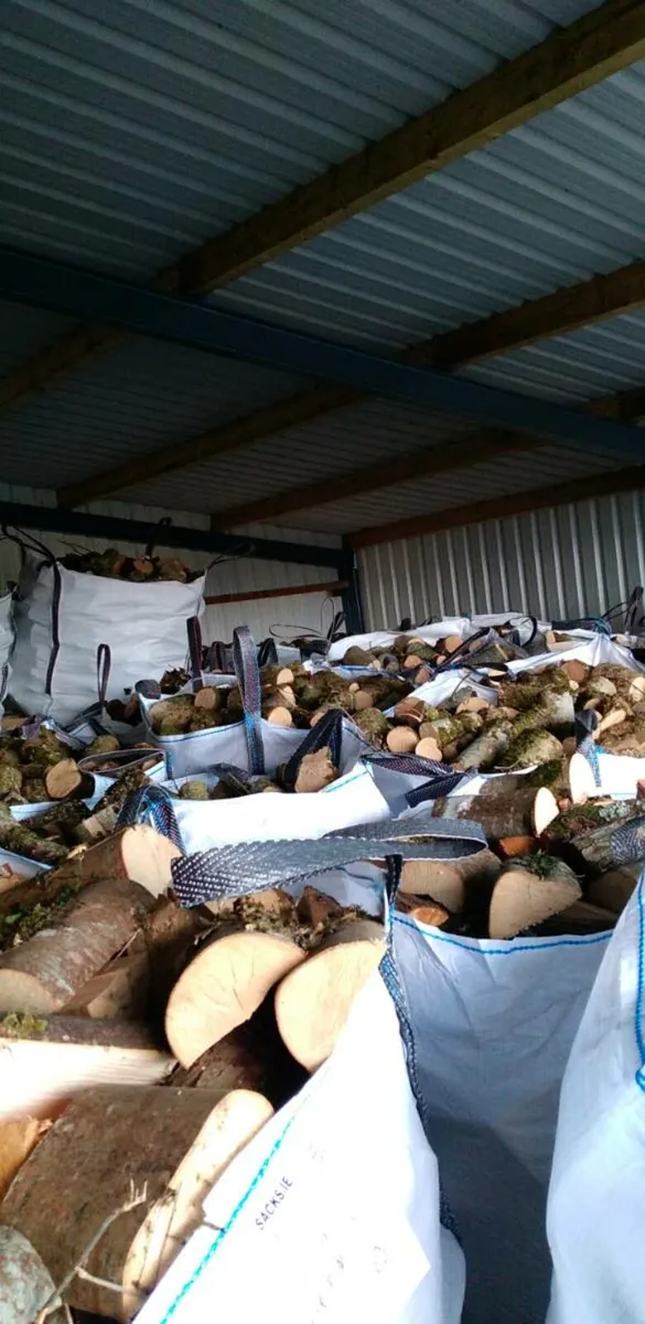 Firewood - Image 2