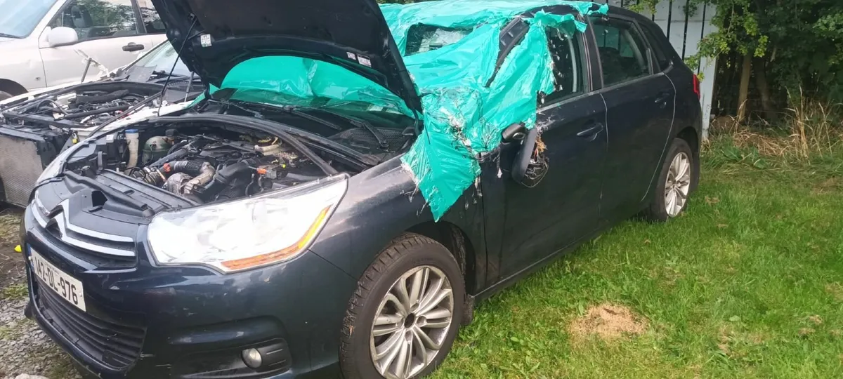 car - Image 4