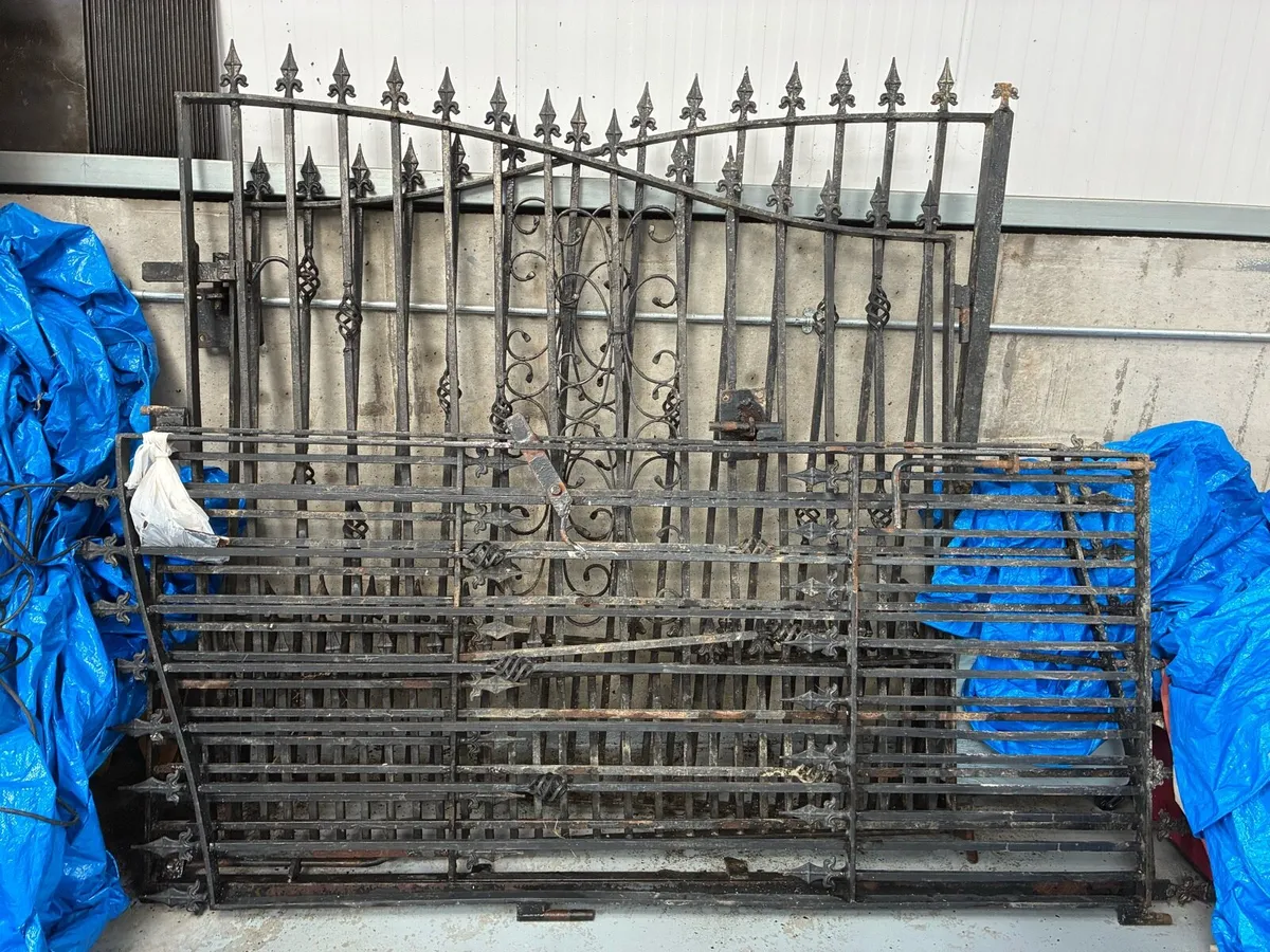 House Gates Main & Side - Image 1