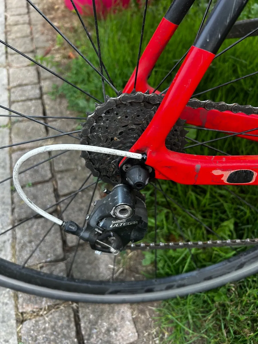 Road Bike - Carbon 61cm frame - Image 2