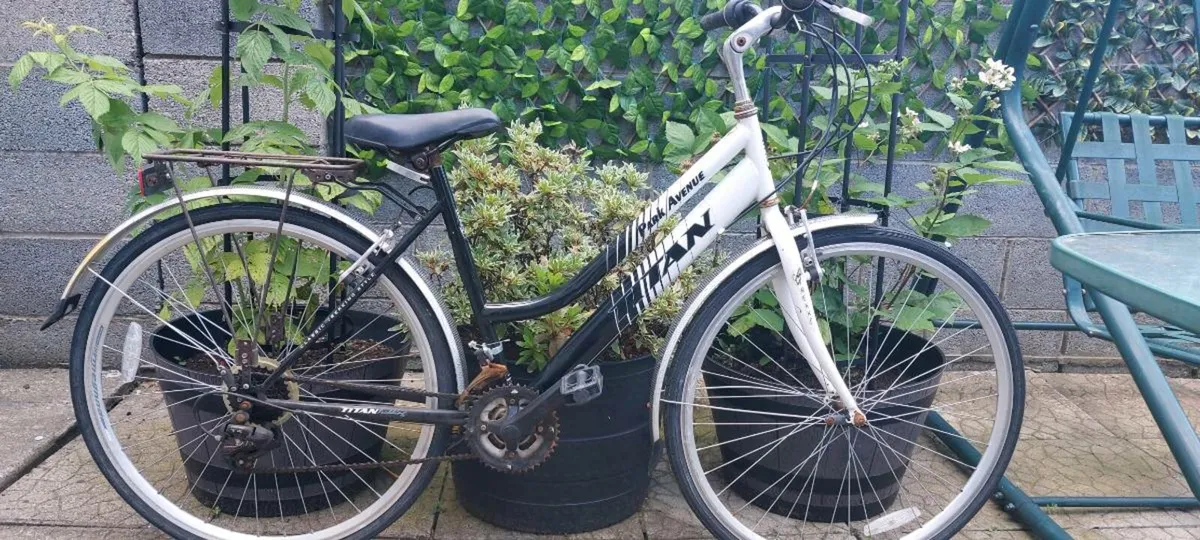 Bicycle - Image 1