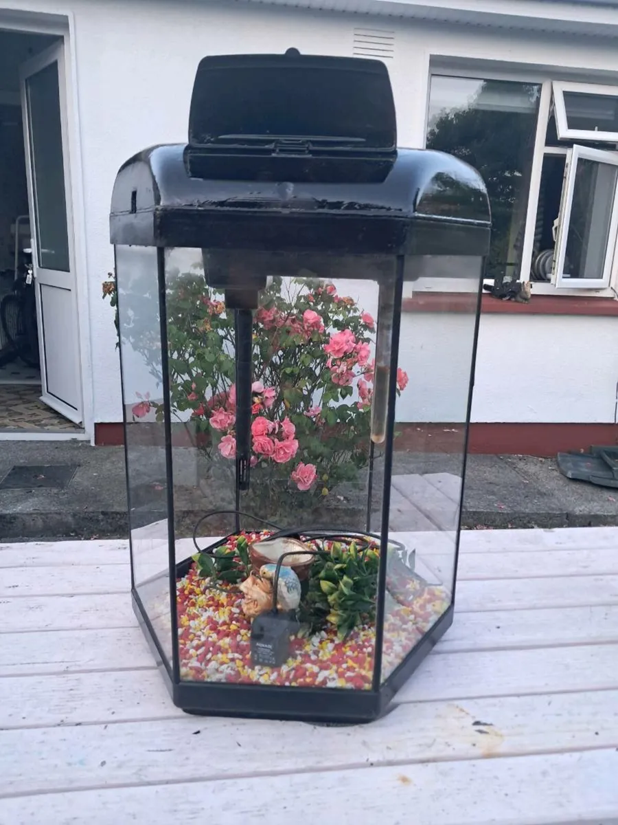 Fish tank big hexagon shape - Image 1