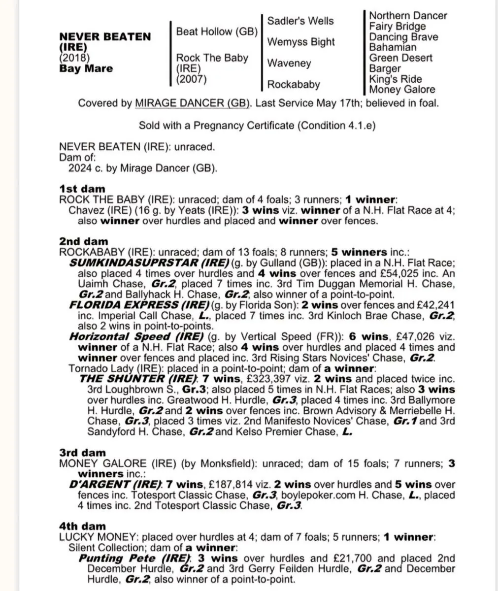 Mirage Dancer colt - Image 2