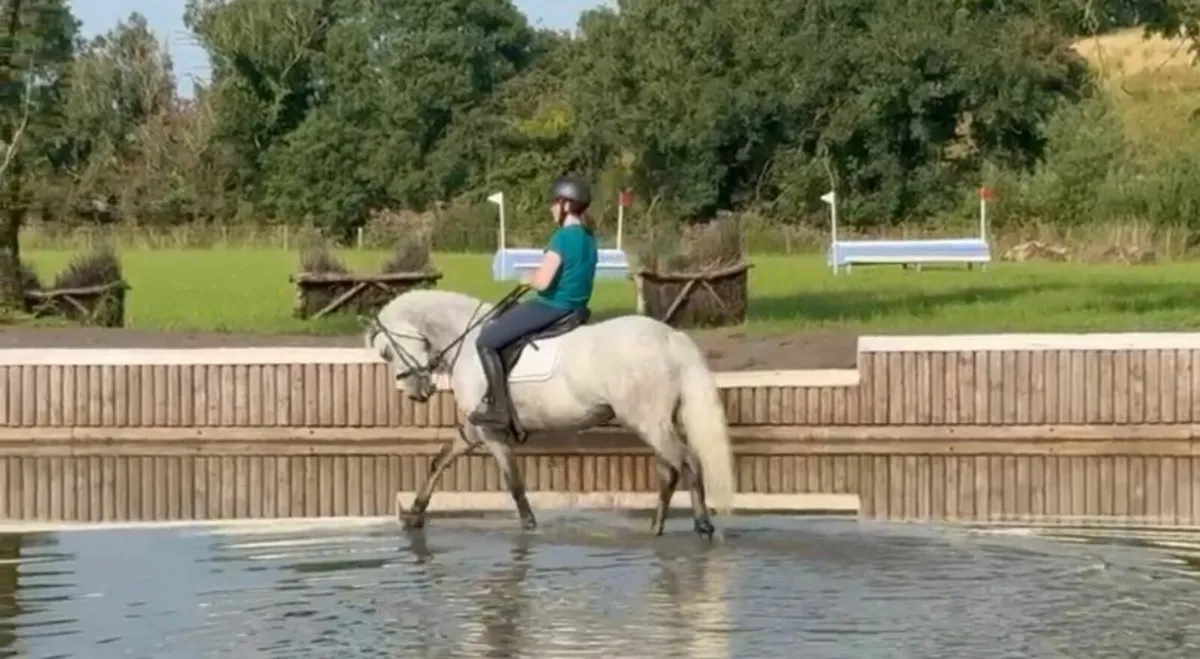 Lot 118 and Lot 119 Clifden Friday - Image 1