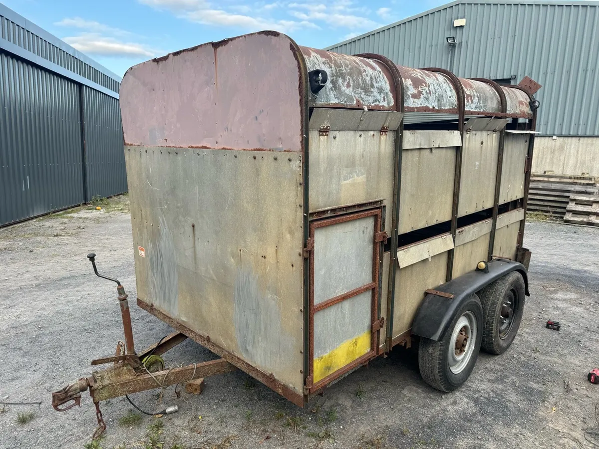 Ivor Williams 10x6 cattle sheep trailer - Image 1