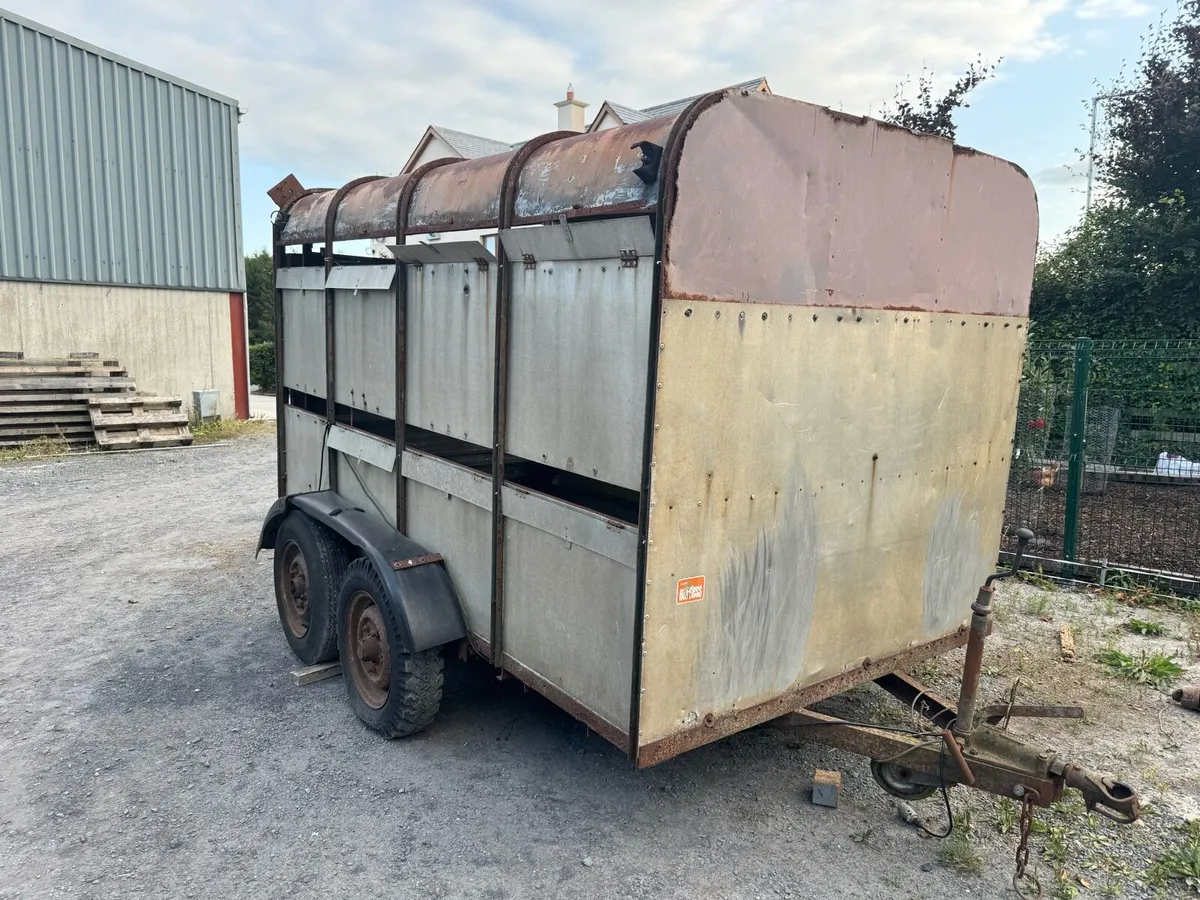 Ivor Williams 10x6 cattle sheep trailer - Image 2