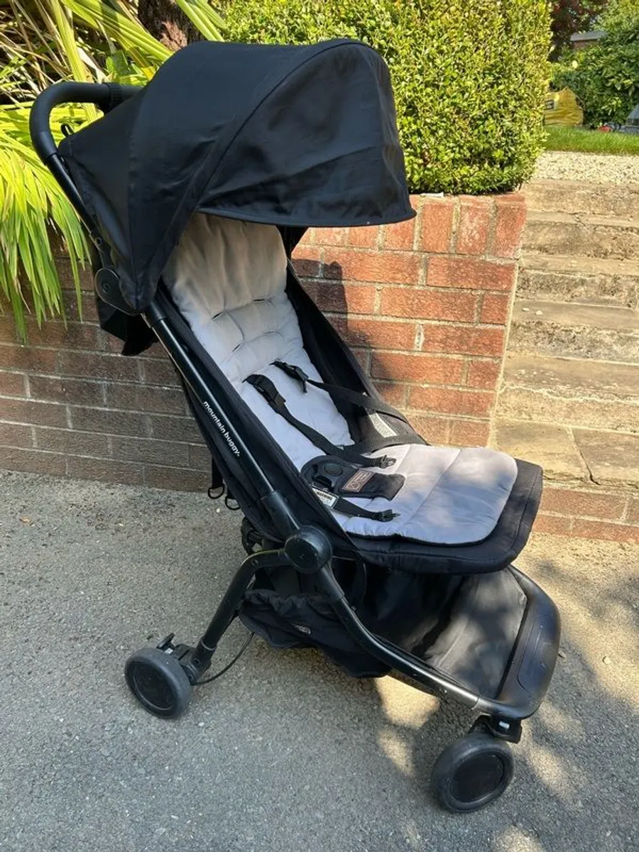 Travel buggy - Image 4