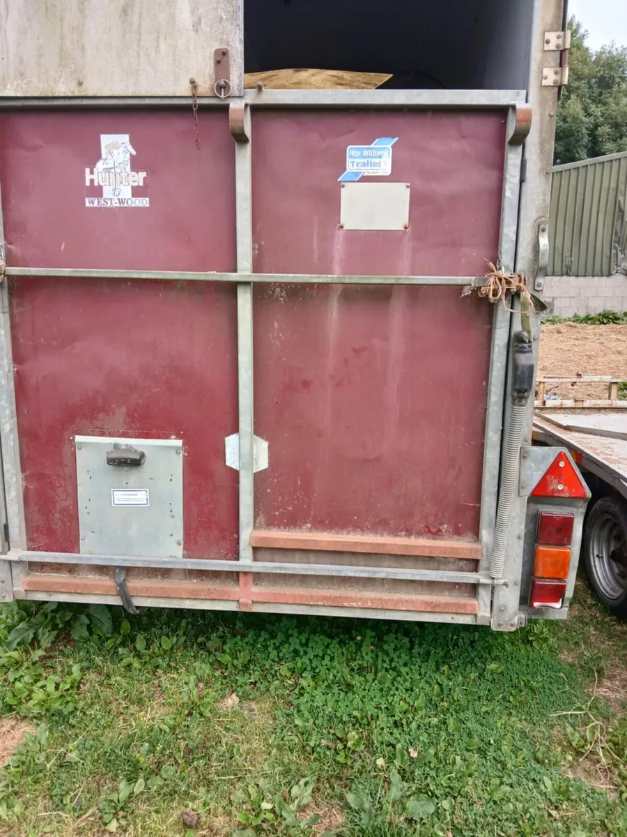 box - Image 2