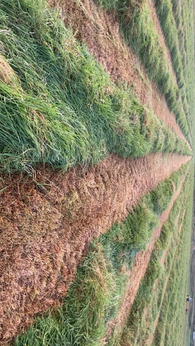 Silage - Image 2