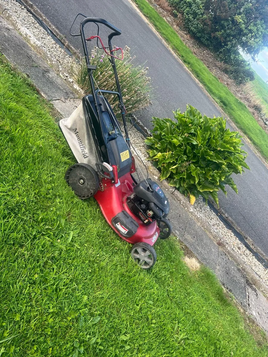 Selfdrive lawnmower - Image 2