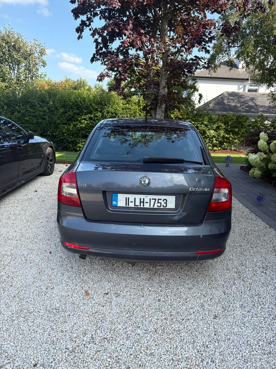 Skoda Octavia - Image 2