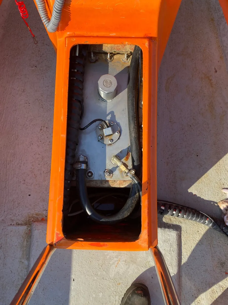Rib - Image 2