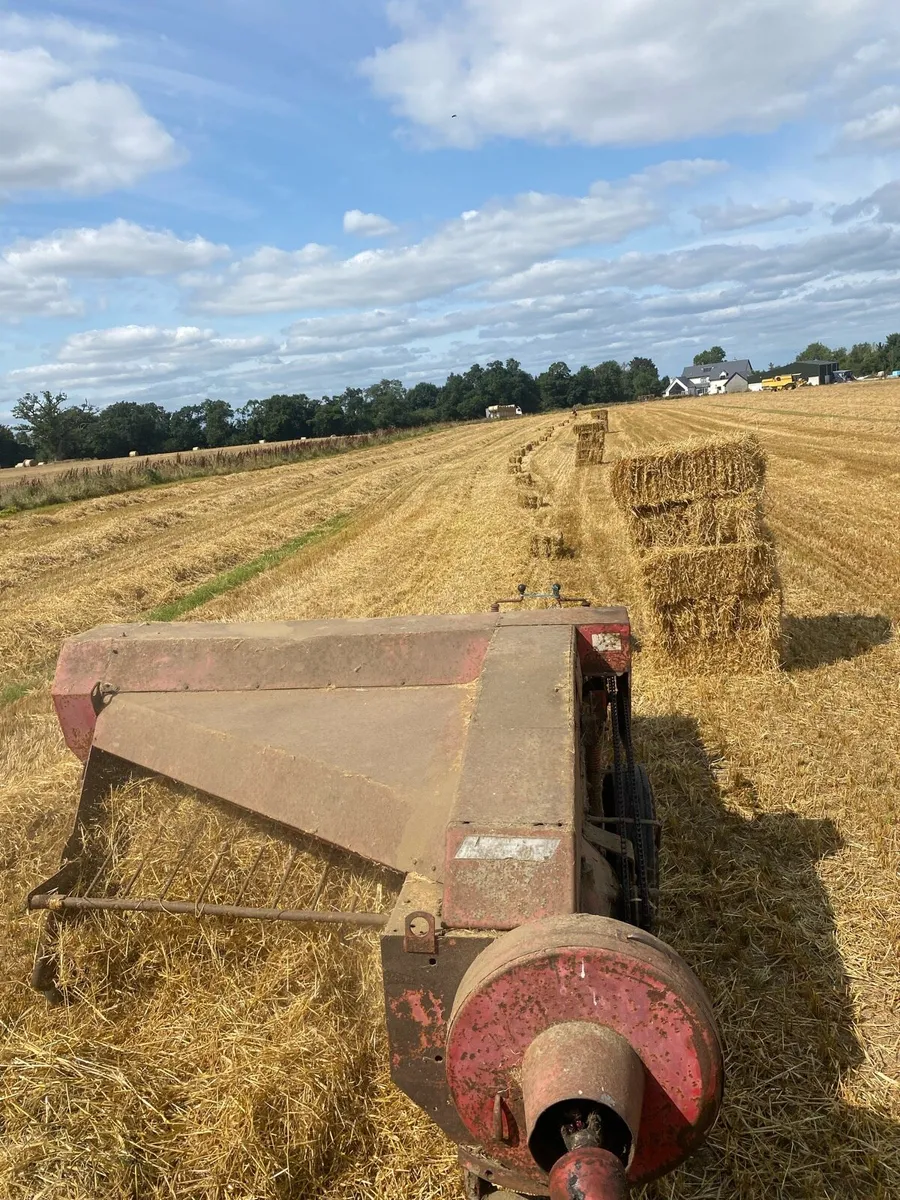 Square bales - Image 1