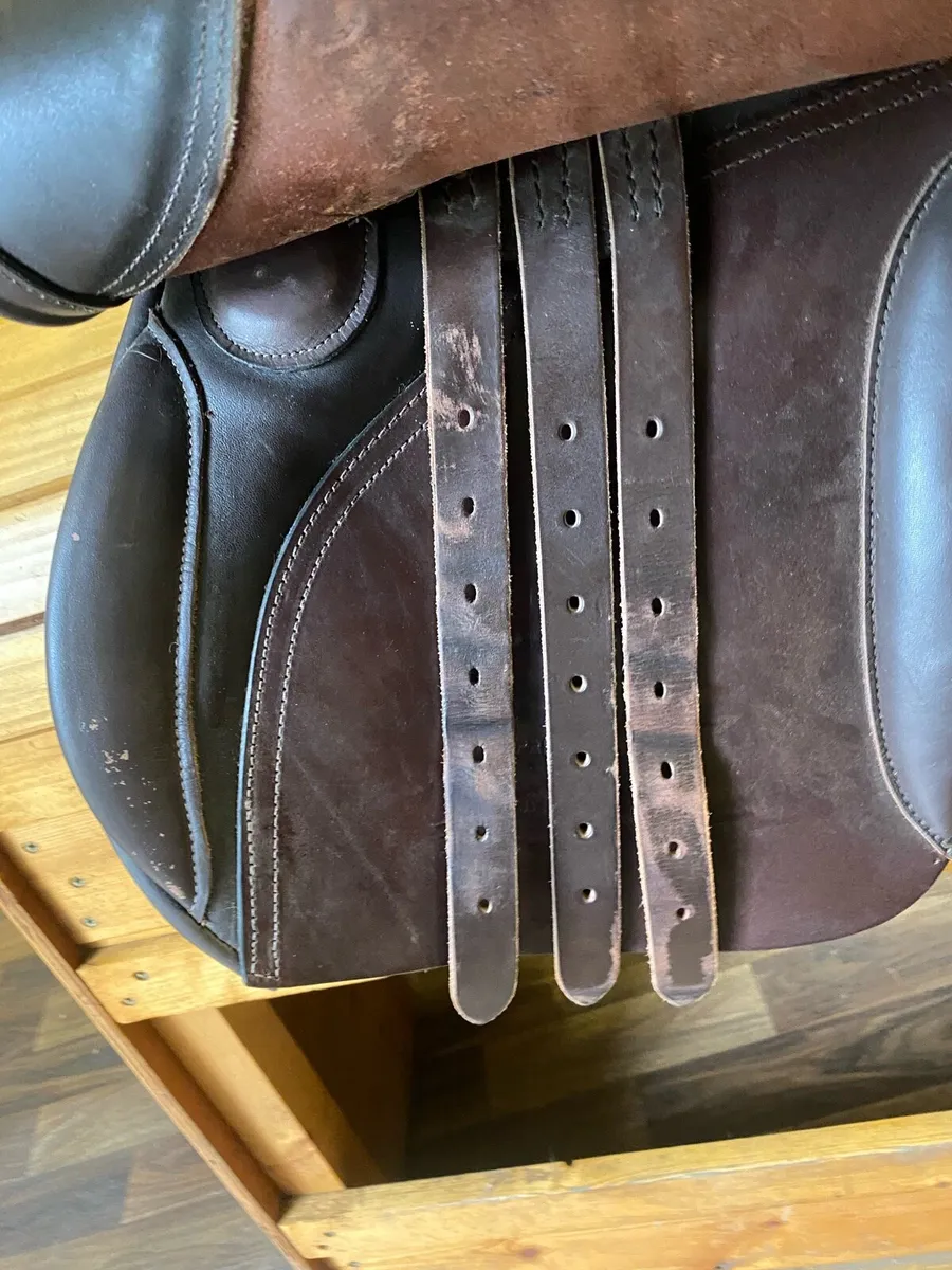 17” jumping brown Leather saddle - Image 4
