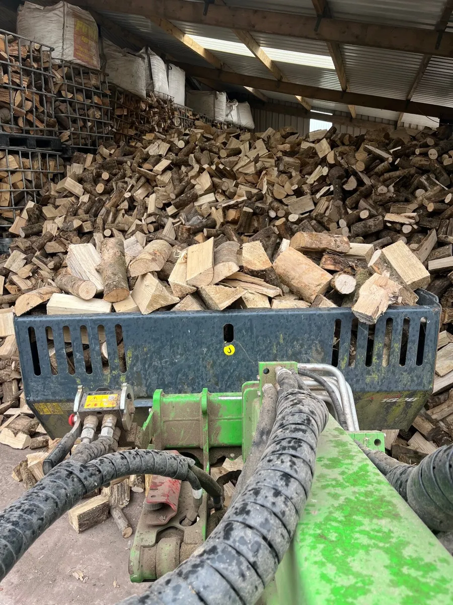 Firewood - Image 4