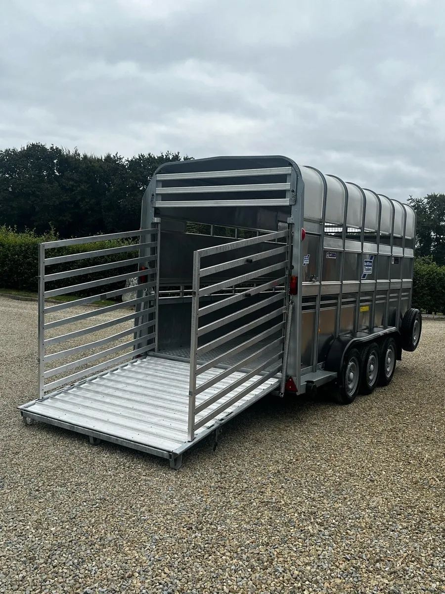 Ifor Williams 14ft Highroof Livestock Trailer - Image 2