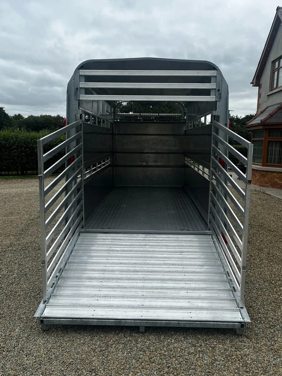 Ifor Williams 14ft Highroof Livestock Trailer - Image 3