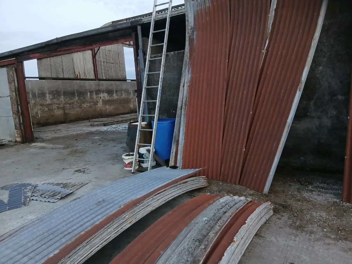 Sheeting for shed - Image 2
