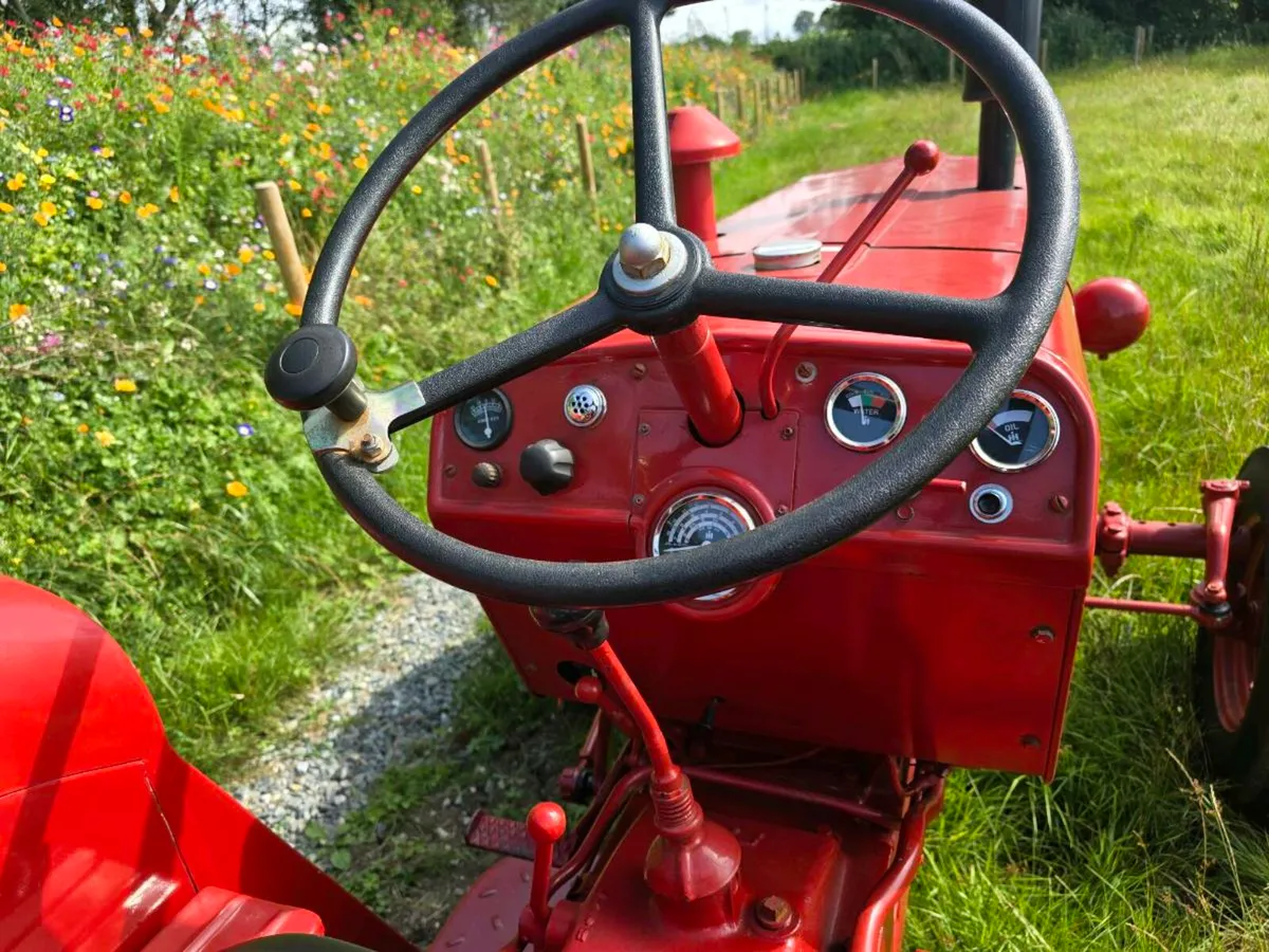 International B275 vintage tractor - Image 3
