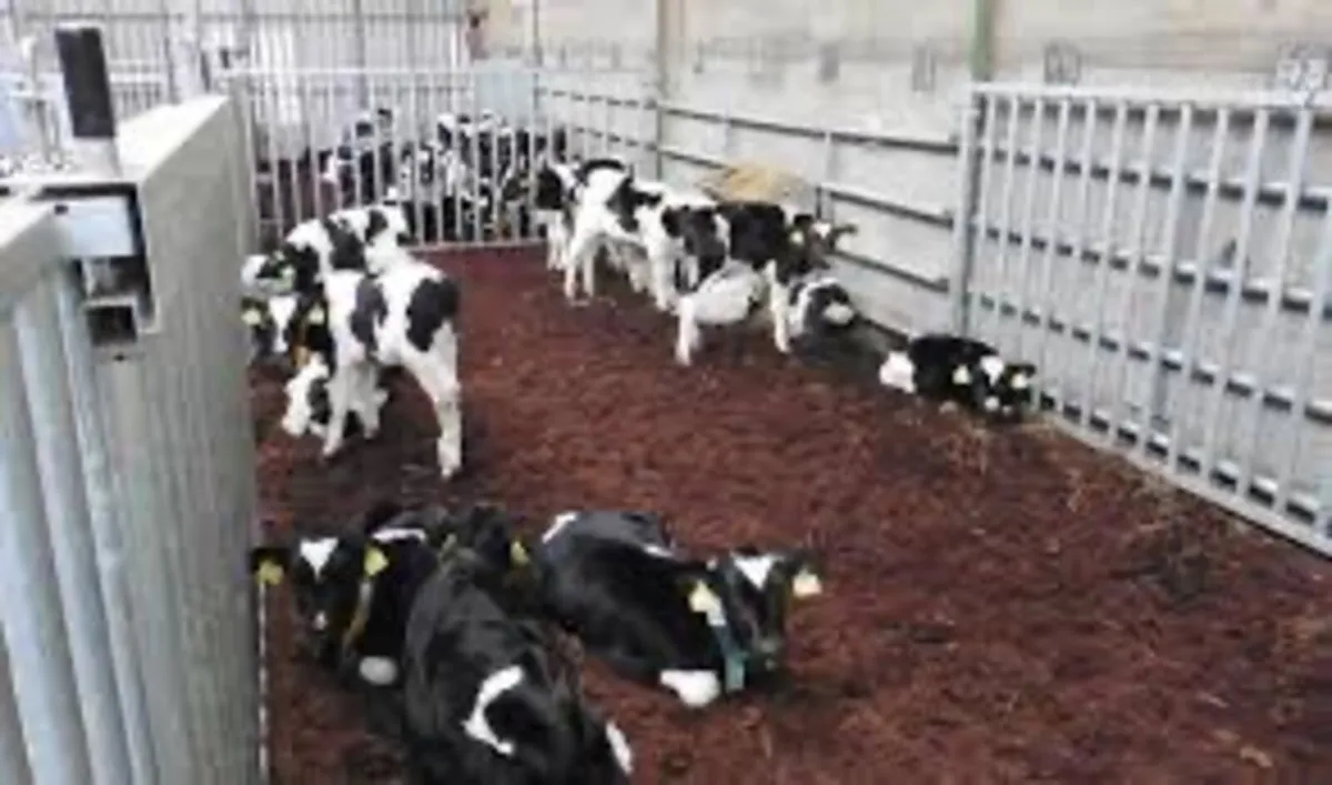 🐄 cattle horse 🐎 pig 🐖 goats 🐐 bedding - Image 4