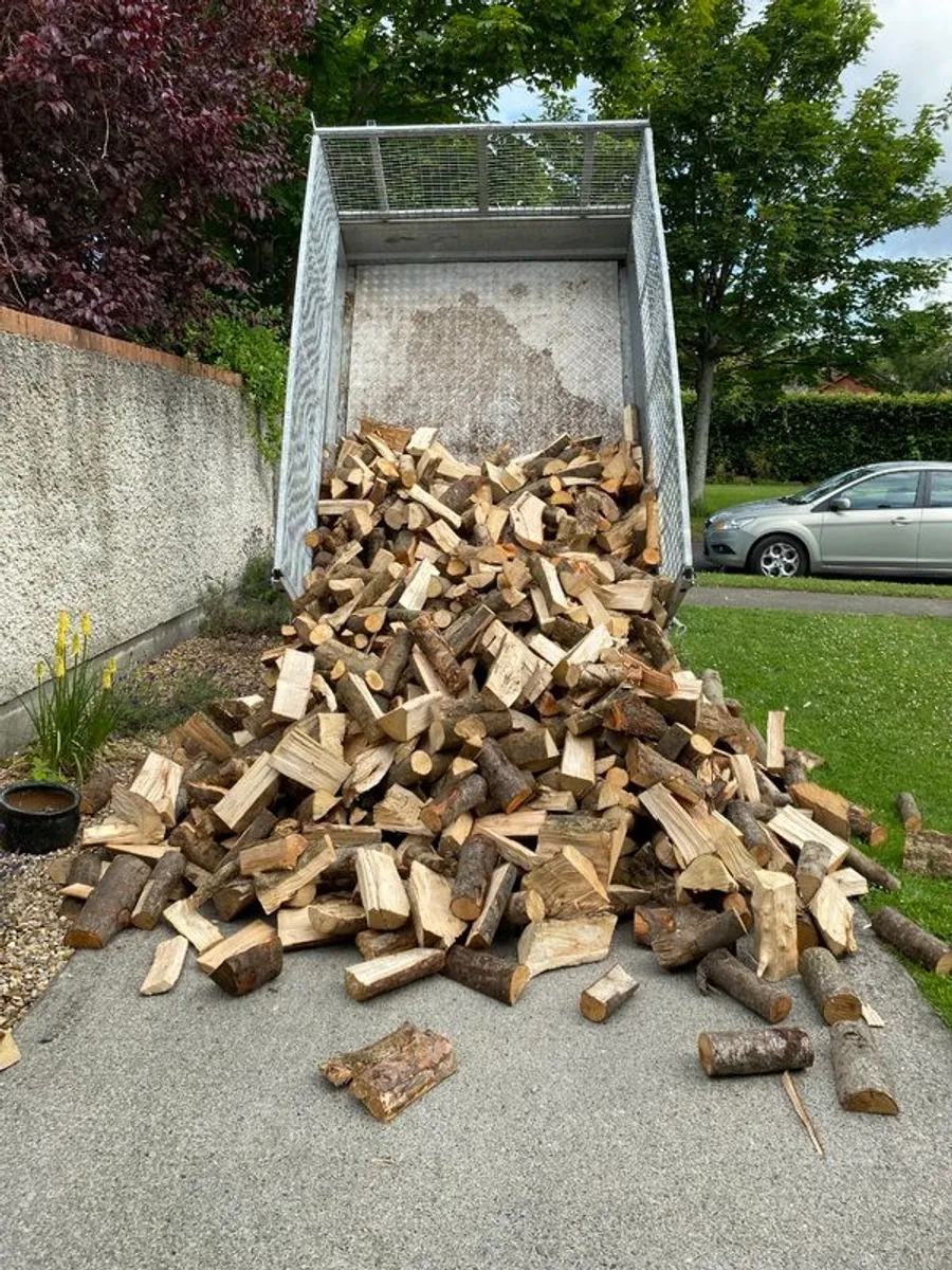 Trailer load of Dry Ash hardwood - Image 1