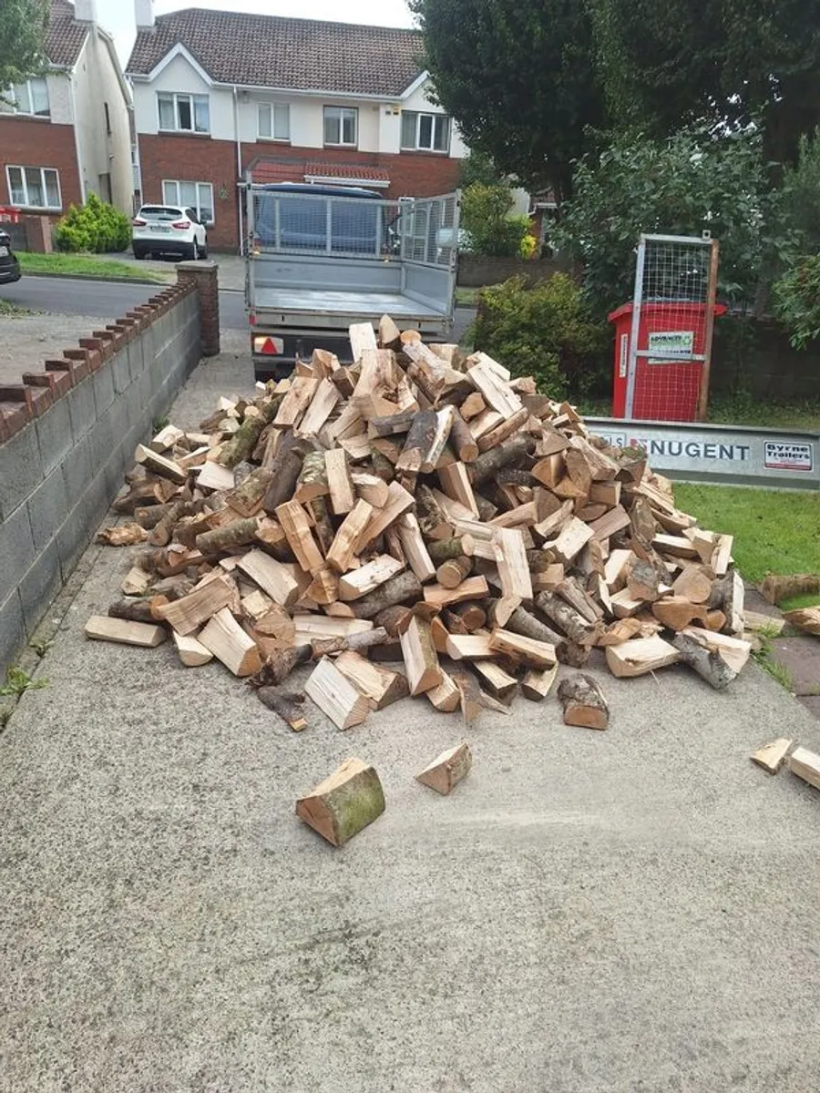 Trailer load of Dry Ash hardwood - Image 4
